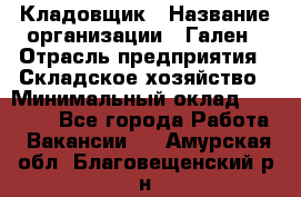 Кладовщик › Название организации ­ Гален › Отрасль предприятия ­ Складское хозяйство › Минимальный оклад ­ 20 000 - Все города Работа » Вакансии   . Амурская обл.,Благовещенский р-н